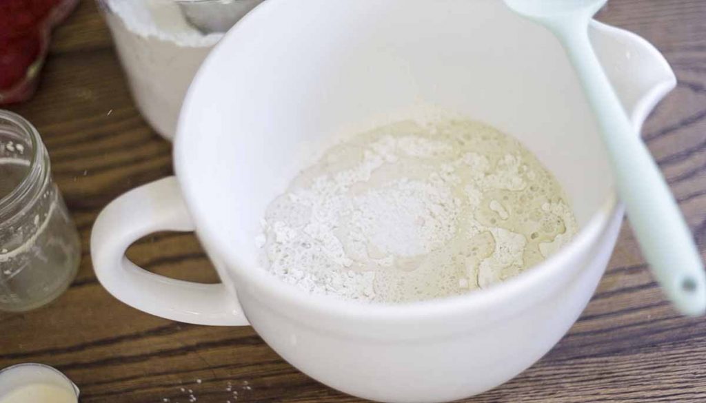 flour, water, yeast, sourdough discard, and salt in a white stand mixer bowl