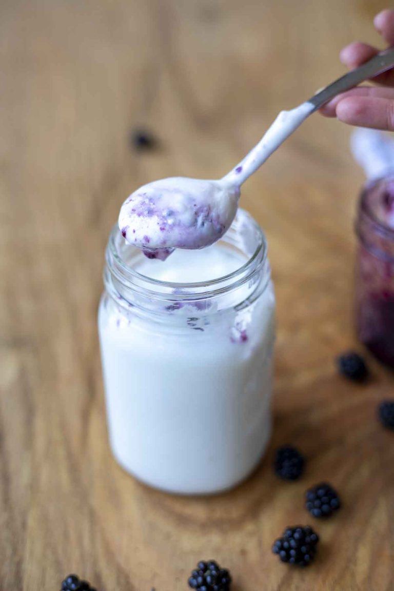 How To Make Lactose Free Yogurt The Healthy Shift