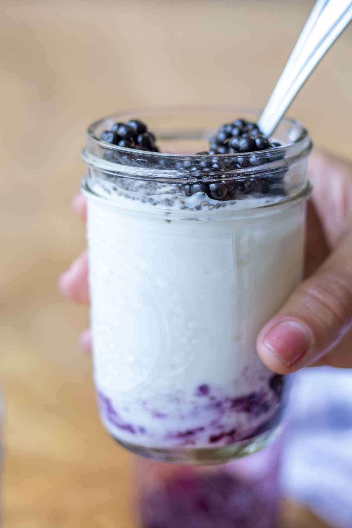 How To Make Lactose Free Yogurt The Healthy Shift