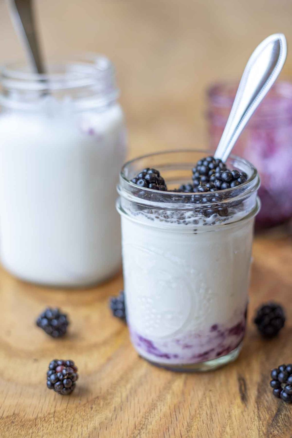 How To Make Lactose Free Yogurt The Healthy Shift